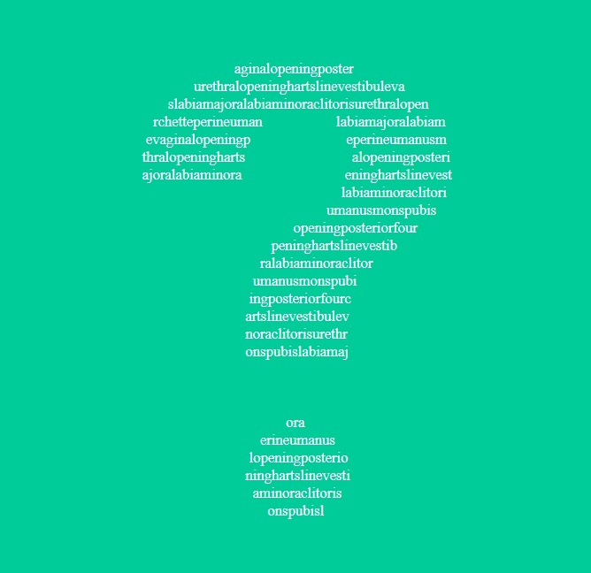 ASCII-style graphic containing a large white question mark on a jade green background. The question mark is made up of a list of the structures of the vulva in small type.